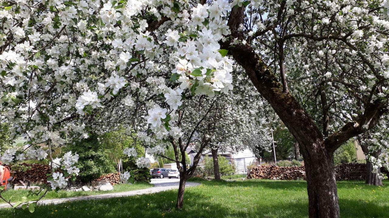 Ferienwohnungen Veit Aigen im Muehlkreis Экстерьер фото